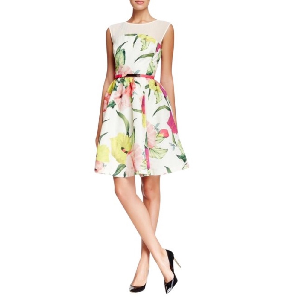 Ted Baker London Iberis Floral Fit & Flare Dress - Picture 1 of 16